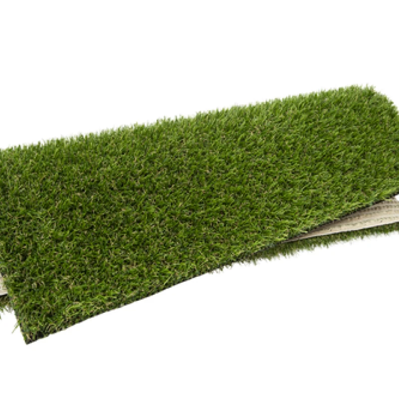 Mona Verdite Monobacking photo3